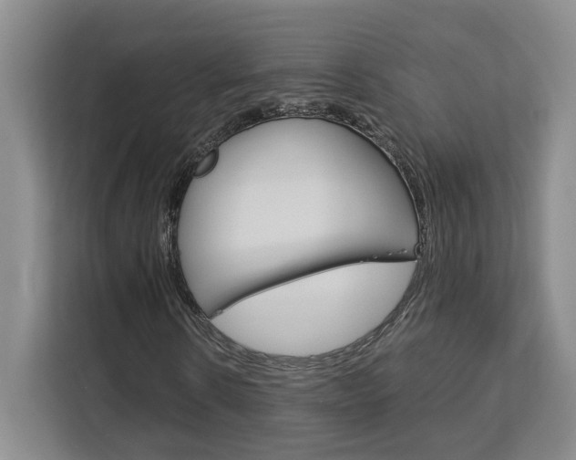 X0000113080914200908280944
