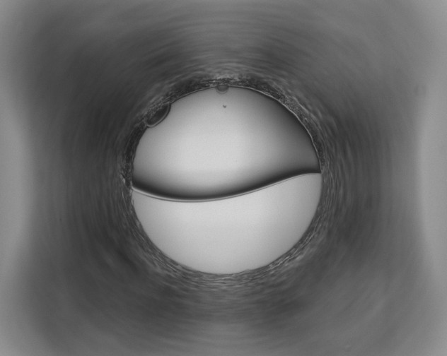X0000113080916200908280944