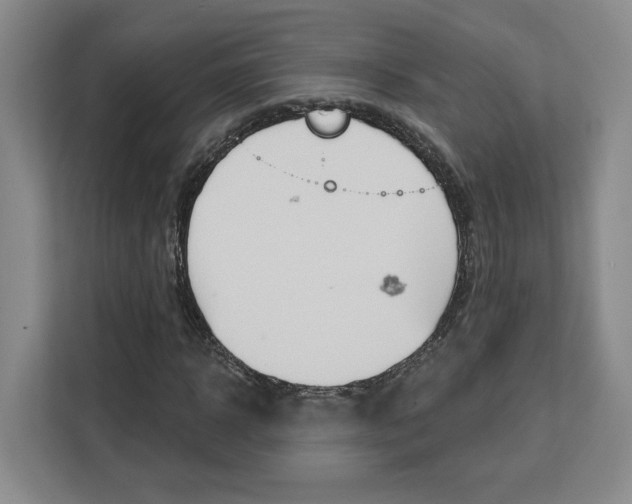 X0000113080918200908280944