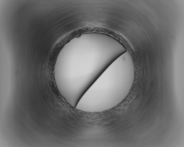 X0000113080919200908280944