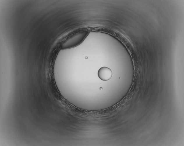 X0000113080920200908280944