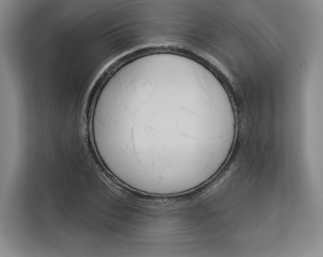 X0000113080927200908280944