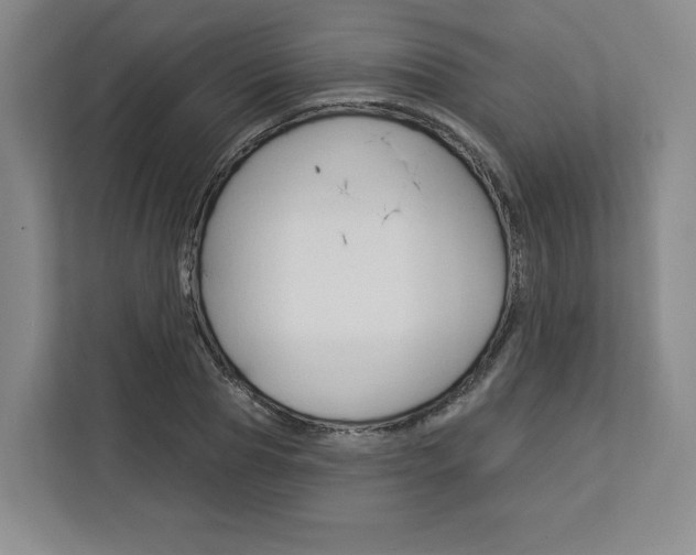 X0000113080929200908280944