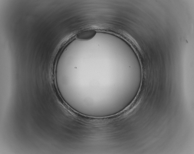 X0000113080930200908280944