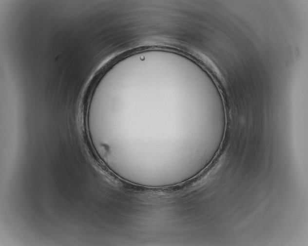 X0000113080931200908280944