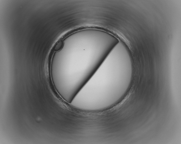 X0000113080934200908280944