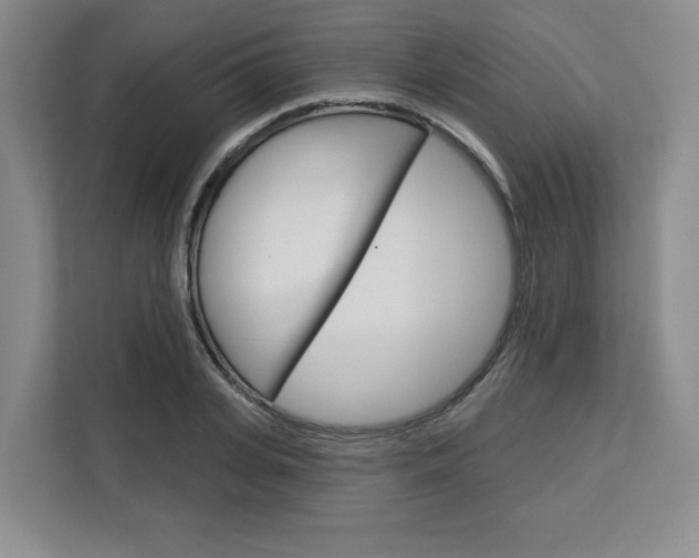 X0000113080935200908280944