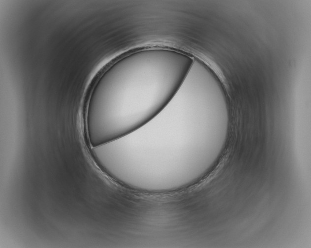 X0000113080936200908280944