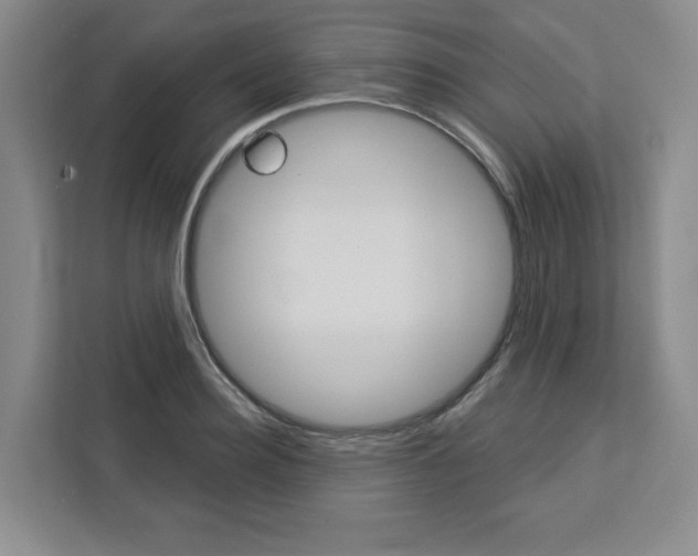 X0000113080940200908280944
