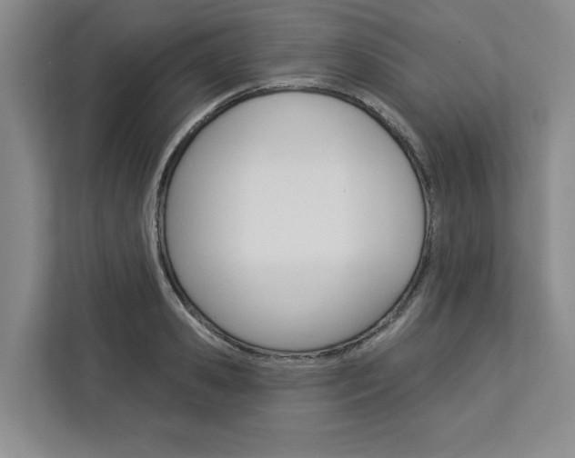 X0000113080941200908280944