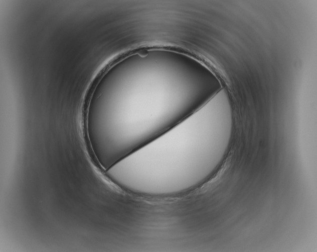 X0000113080942200908280944