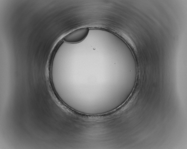 X0000113080944200908280944