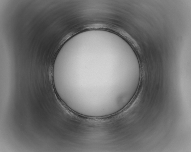 X0000113080945200908280944