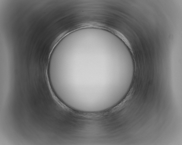 X0000113080946200908280944