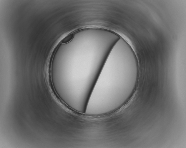 X0000113080949200908280944