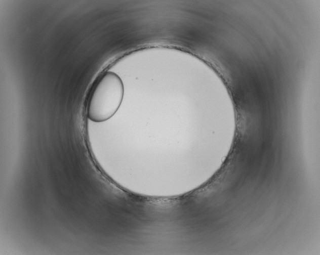 X0000113080950200908280944
