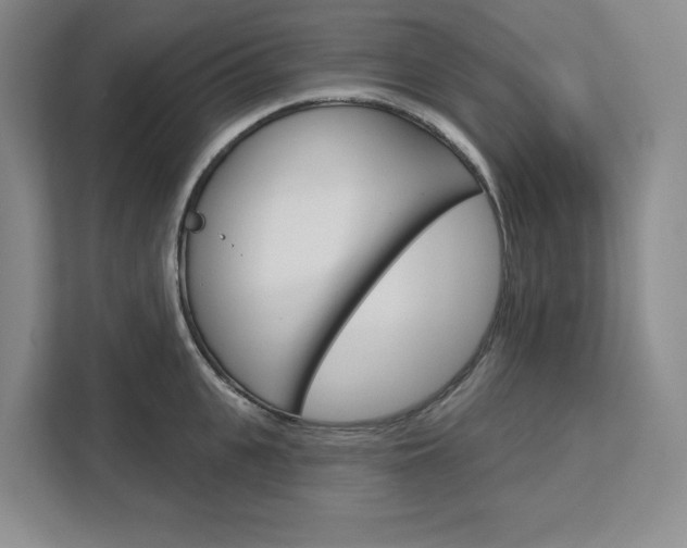 X0000113080951200908280944