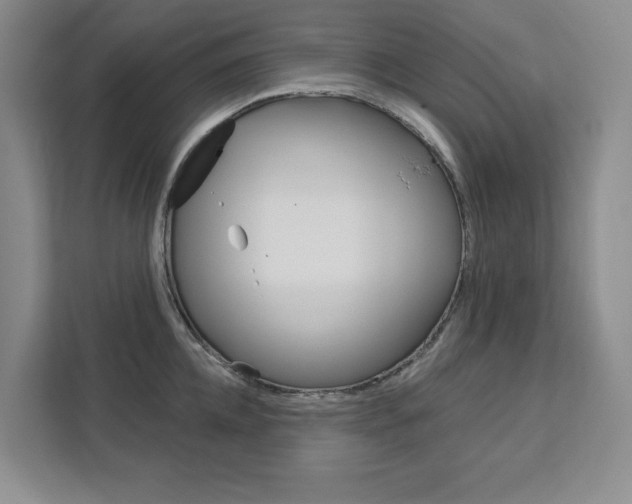 X0000113080952200908280944