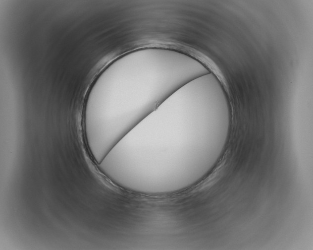 X0000113080954200908280944