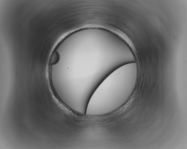 X0000113080958200908280944