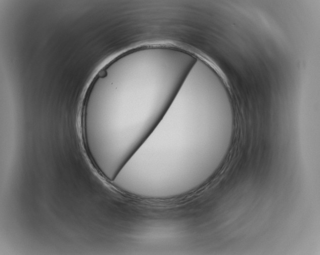 X0000113080959200908280944
