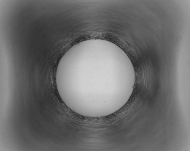 X0000113080962200908280944