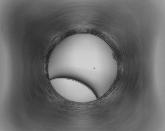X0000113080964200908280944