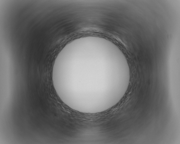 X0000113080965200908280944