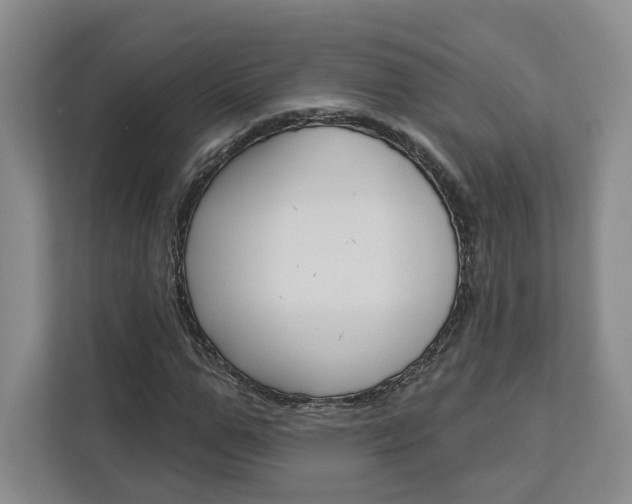 X0000113080967200908280944