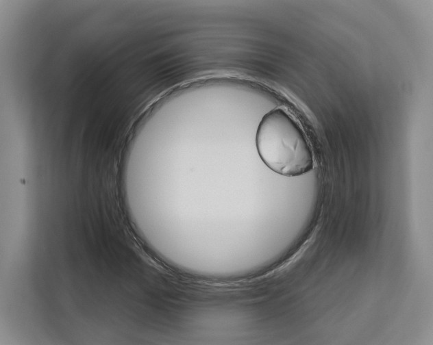 X0000113080969200908280944