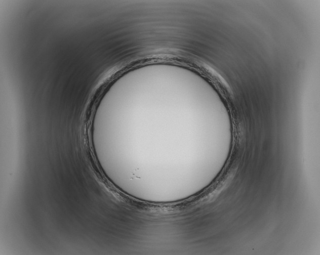 X0000113080970200908280944