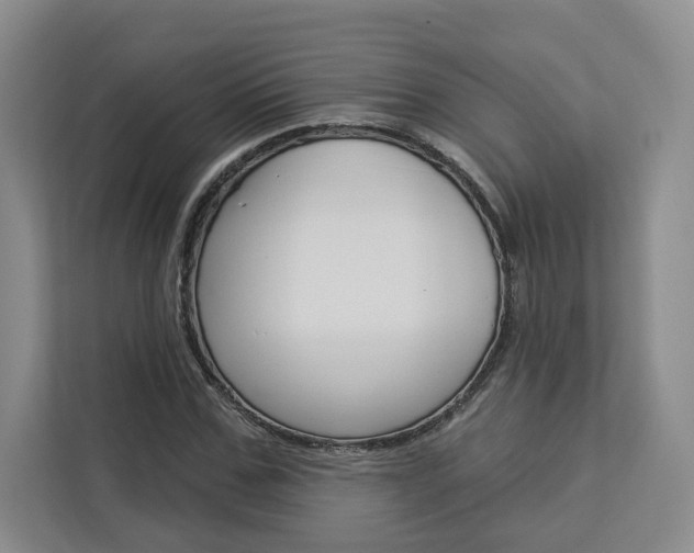 X0000113080971200908280944