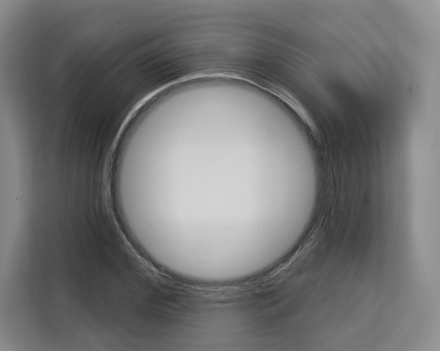 X0000113080972200908280944
