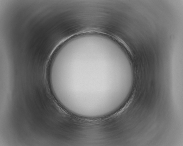 X0000113080973200908280944