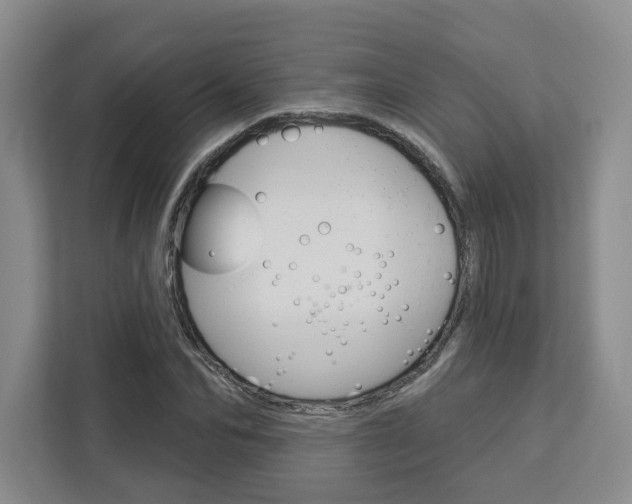 X0000113080974200908280944