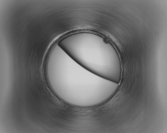X0000113080975200908280944