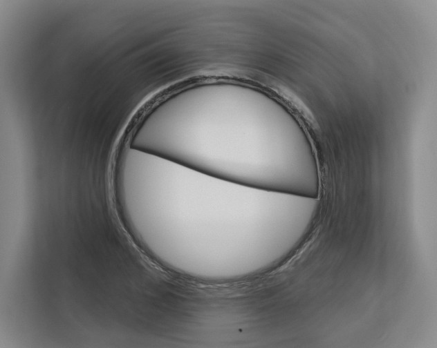 X0000113080976200908280944