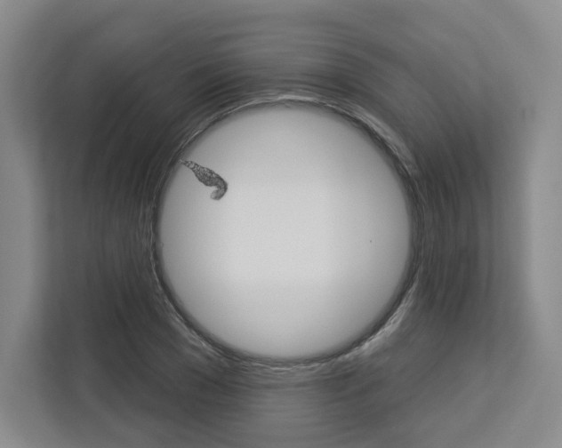 X0000113080977200908280944