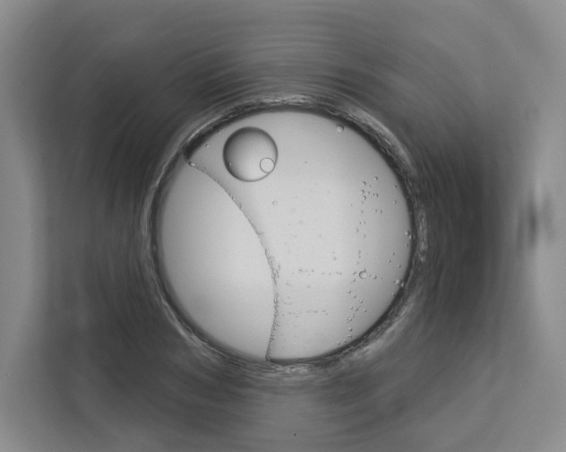 X0000113080978200908280944
