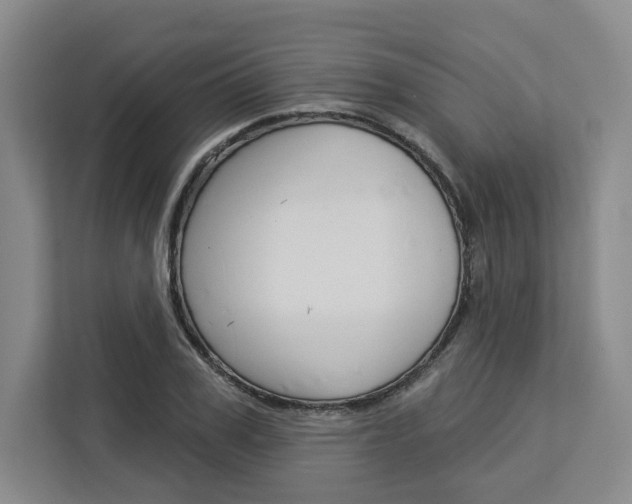 X0000113080979200908280944