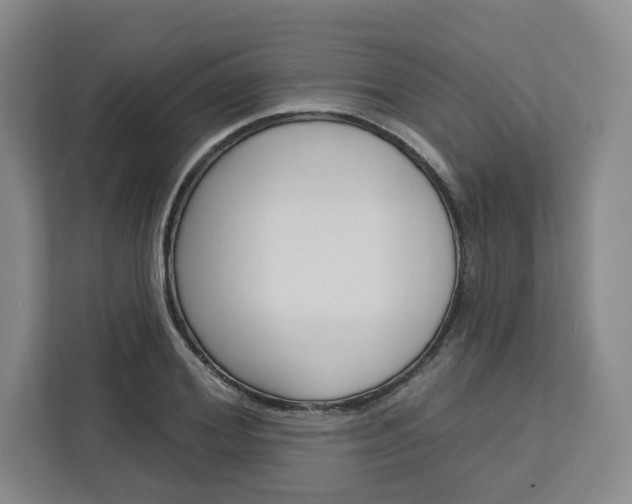 X0000113080980200908280944