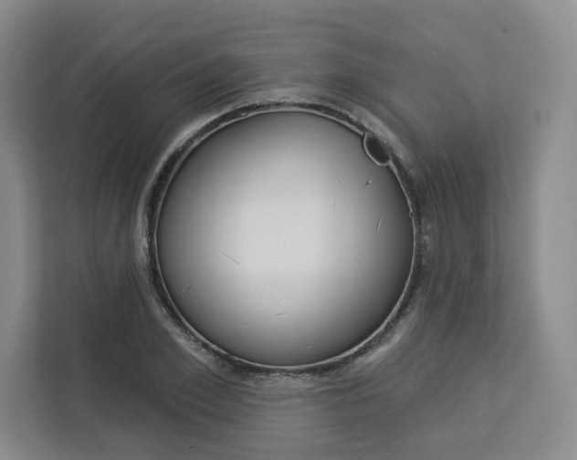 X0000113080981200908280944