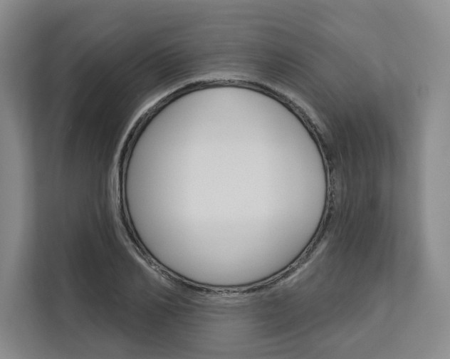 X0000113080982200908280944
