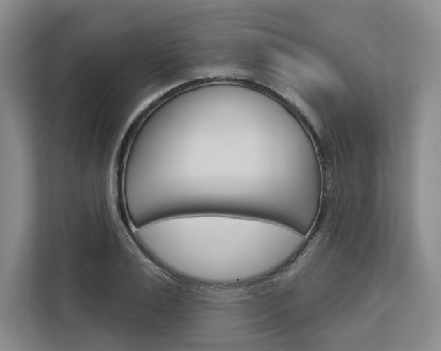 X0000113080983200908280944