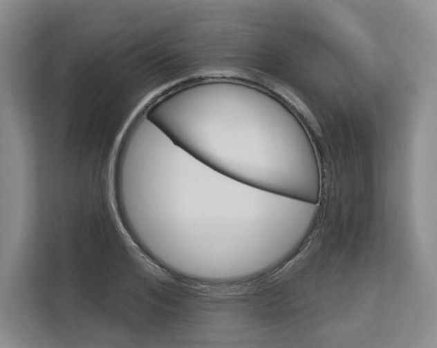 X0000113080984200908280944