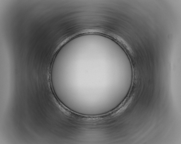 X0000113080985200908280944