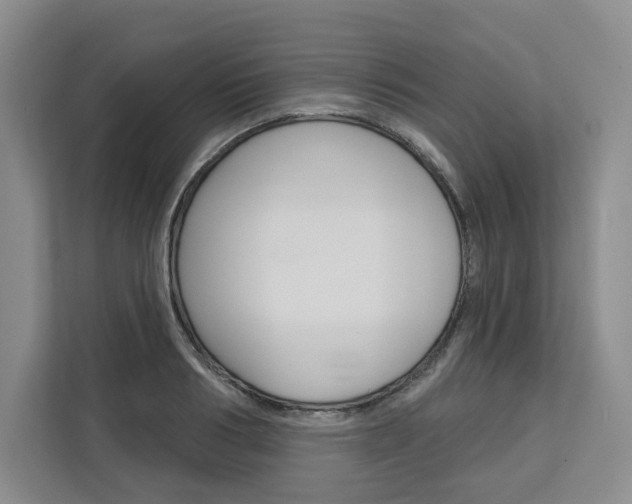 X0000113080986200908280944