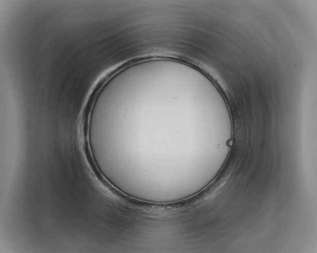 X0000113080987200908280944