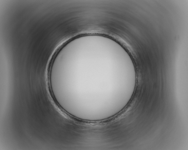 X0000113080990200908280943