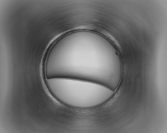 X0000113080991200908280943